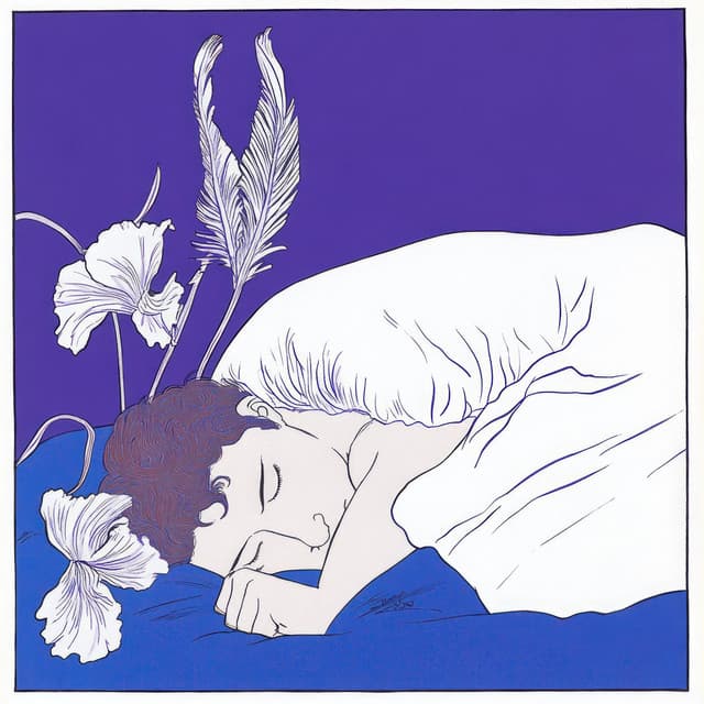 Midnight Meandering - Therapeutic Music Zone