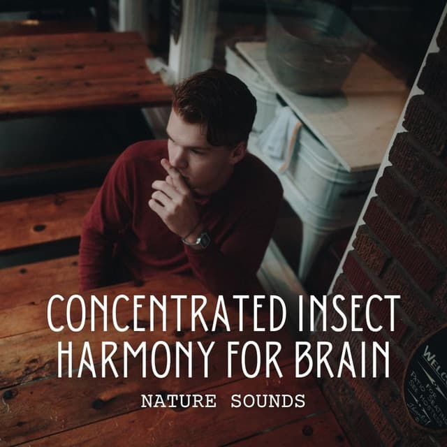 Nature Sounds: Concentrated Insect Harmony for Brain - Nature Radio 1