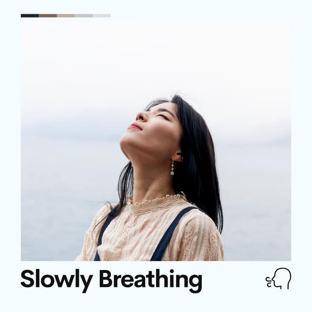 Slowly Breathing - Deep Sleep Systems