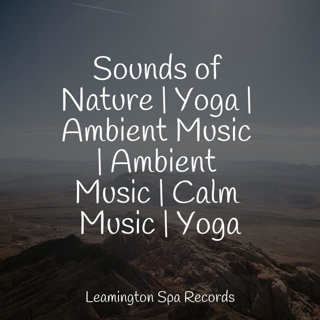 Sounds of Nature | Yoga | Ambient Music | Ambient Music | Calm Music | Yoga - Nature Sounds Collection