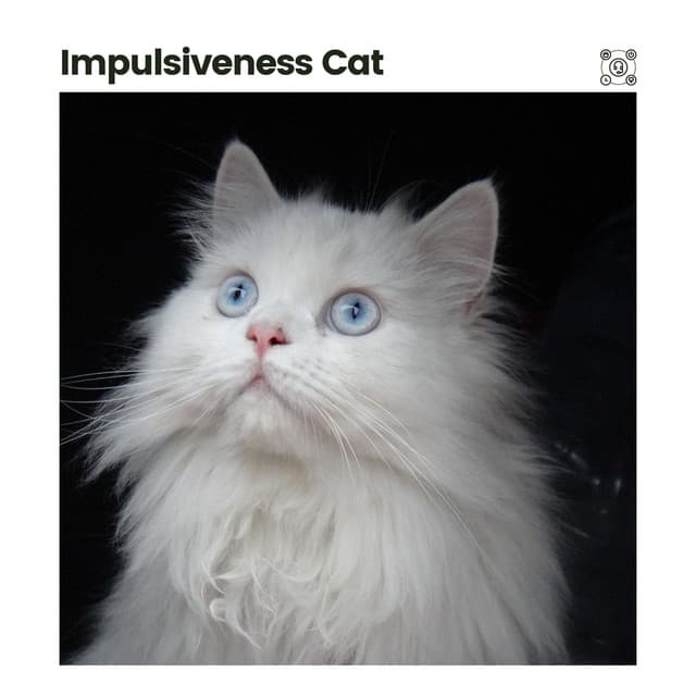 Impulsiveness Cat - Music for Cats Peace