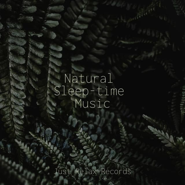 Natural Sleep-time Music - Dog Music
