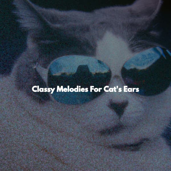 Classy Melodies For Cat's Ears - Musica da Lavoro
