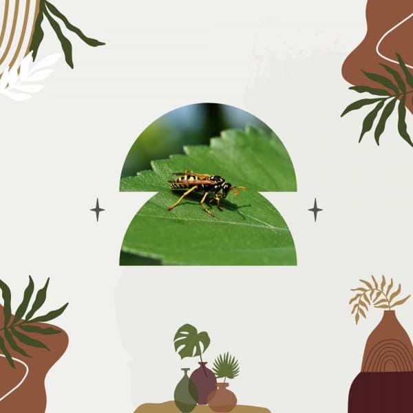 Coffee Time - Dinner Table Jazz Lounge