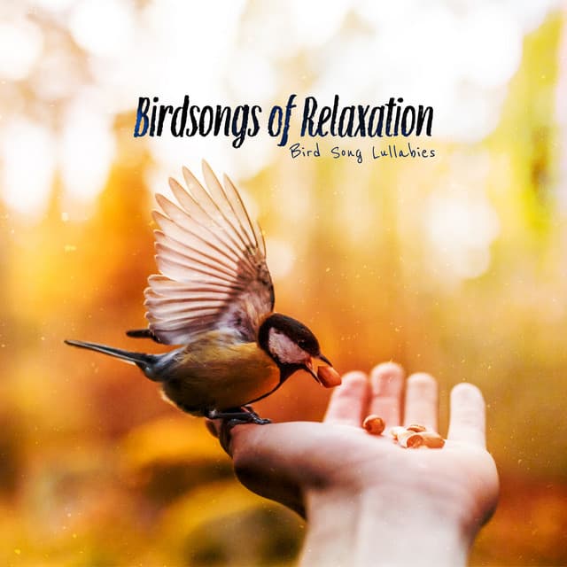 Birdsongs of Relaxation - Bird Song Lullabies