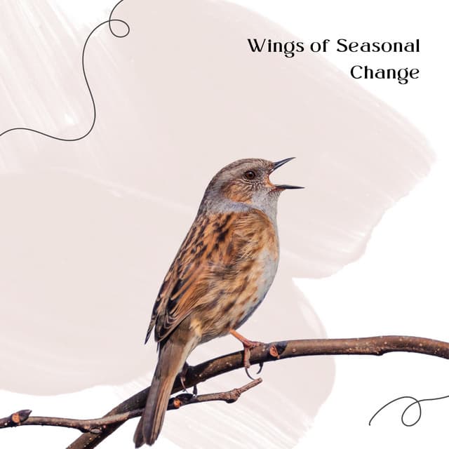 Wings of Seasonal Change - Orionavi