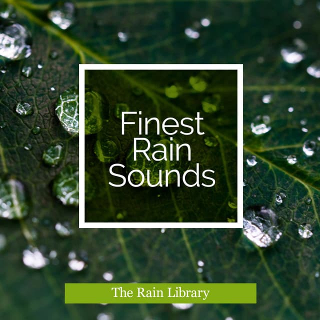 Finest Rain Sounds - The Rain Library