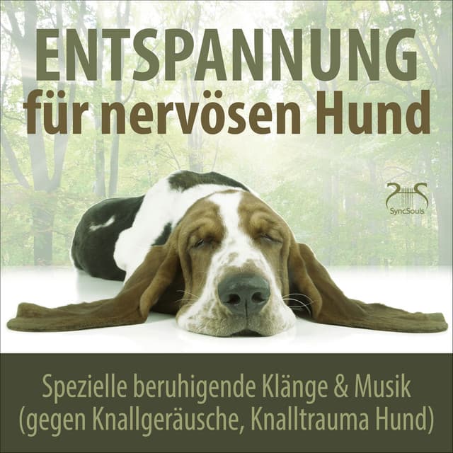 Entspannung für nervösen Hund: Spezielle beruhigende Klänge & Musik - Torsten Abrolat