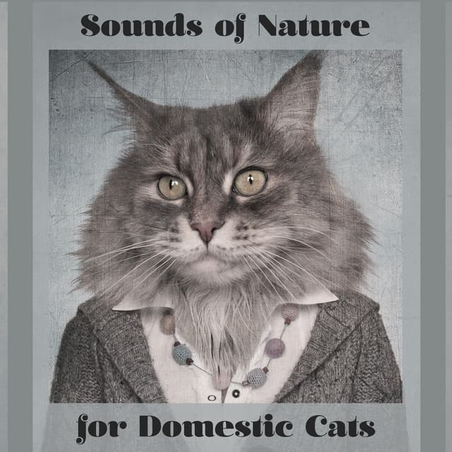 Sounds of Nature for Domestic Cats - 15 New Age Melodies Especially for Animals Which Don't Leave the House, Relaxation for a Pet, Closer to Nature, Instinct, Feel Secure, Best Friend, Birds, River, Rain - Nature Sounds