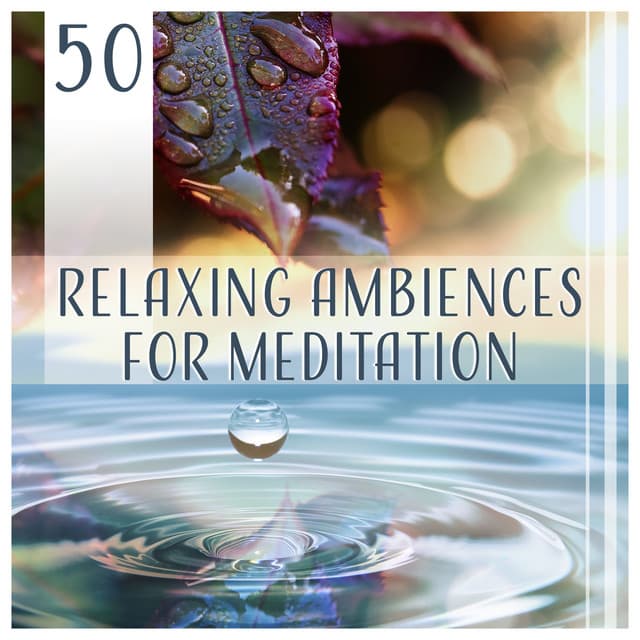50 Relaxing Ambiences for Meditation – Sounds for Mindfulness, Deep Sleep, Yoga & Relaxation, New Age to Relieve Stress - Therapeutic Music Zone