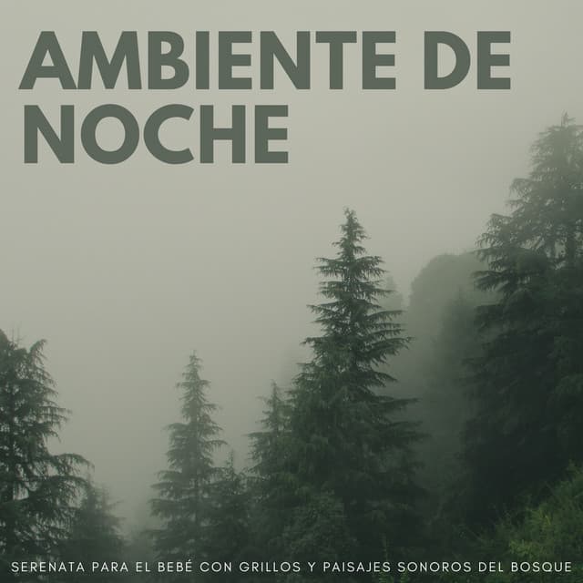 Ambiente De Noche: Serenata Para El Bebé Con Grillos Y Paisajes Sonoros Del Bosque - Grillos del bosque
