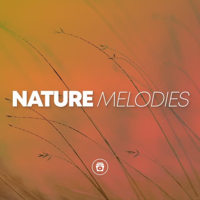 Nature Melodies - Sounds Of Nature