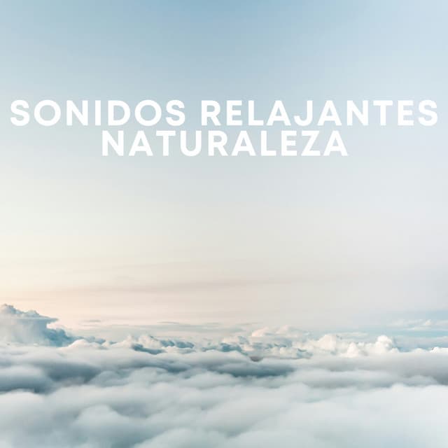 Sonidos Relajantes Naturaleza - Chuva de Ruído Branco
