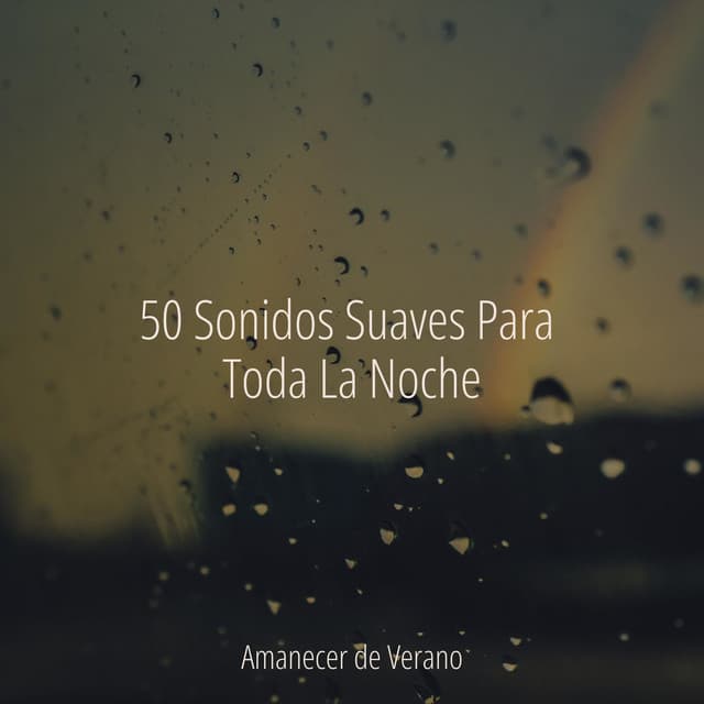 50 Sonidos Suaves Para Toda La Noche - Mantra para Meditar