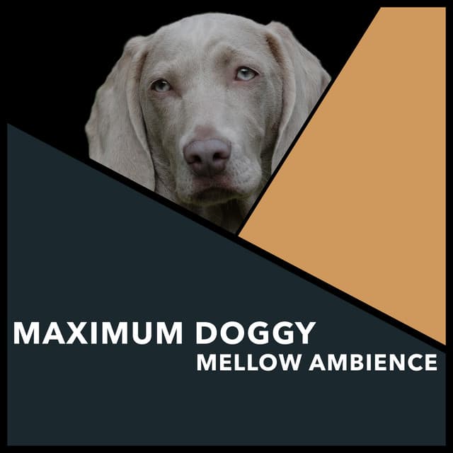 Maximum Doggy Mellow Ambience - Dogs Music Therapy