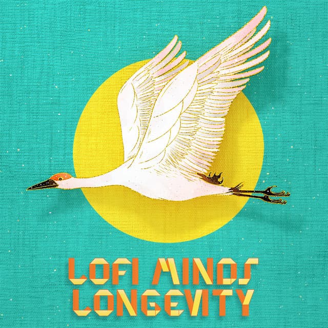 Lofi Minds Longevity - Lofi Minds