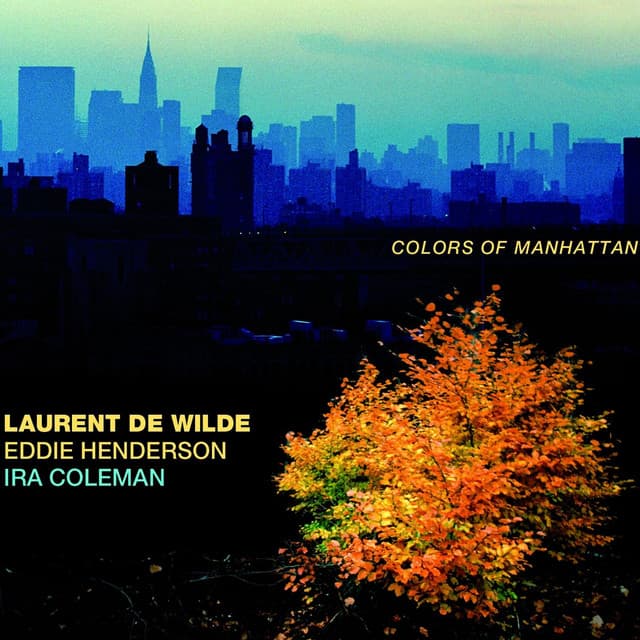 Colors of Manhattan - Laurent De Wilde