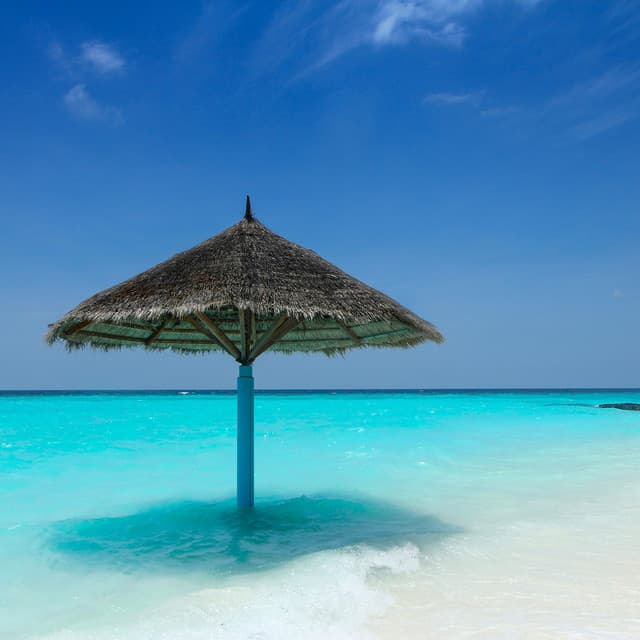 50 Ambient Water Songs: Relax & Unwind - Sea Waves Sounds