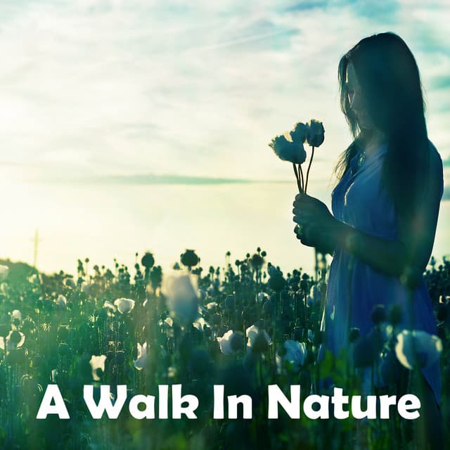 A Walk In Nature - Meditación Interna