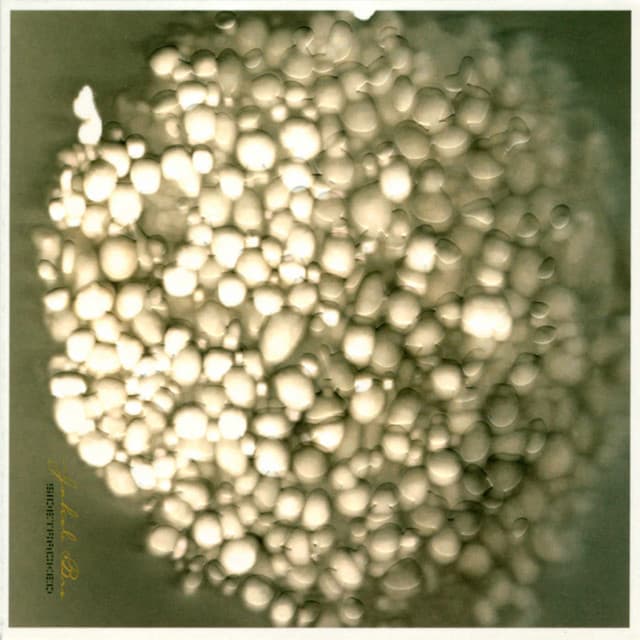 Sidetracked - Jakob Bro