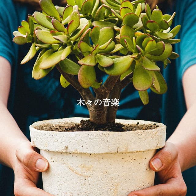 Night Time Jazz Culture