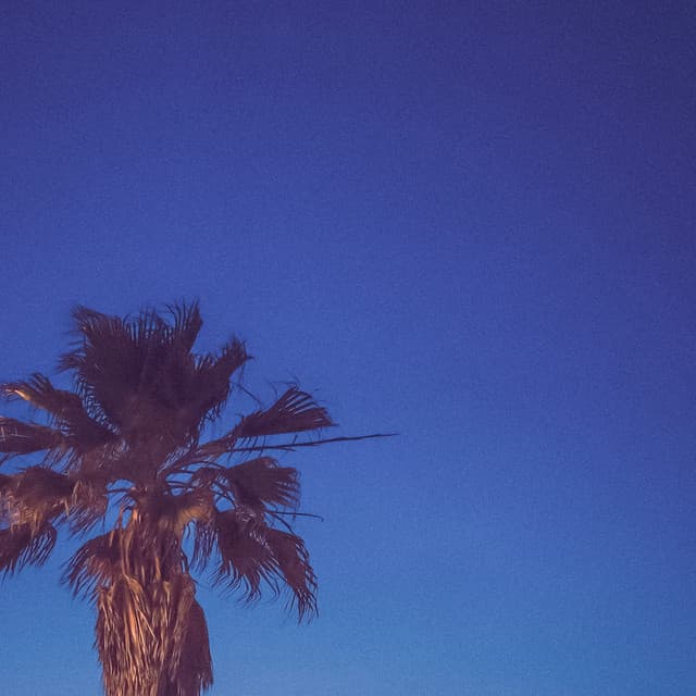 1 Coastal Night: Oceanic Tranquility Tango - Ocean Sounds