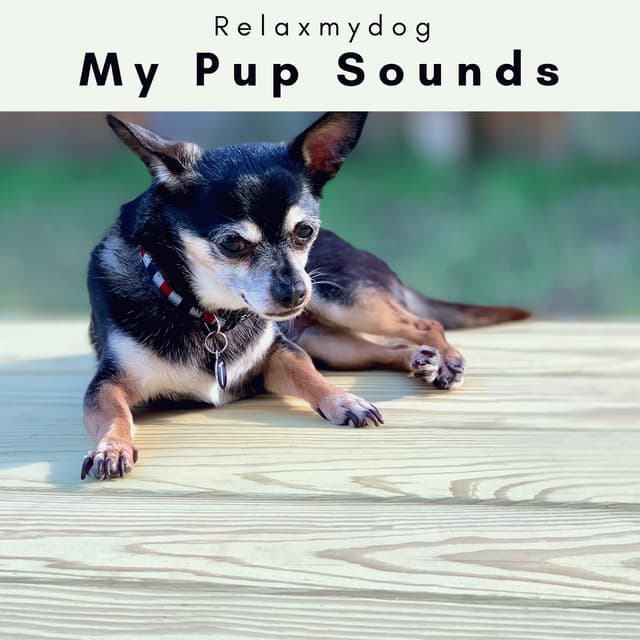 2 0 2 3 My Pup Sounds - Relaxmydog