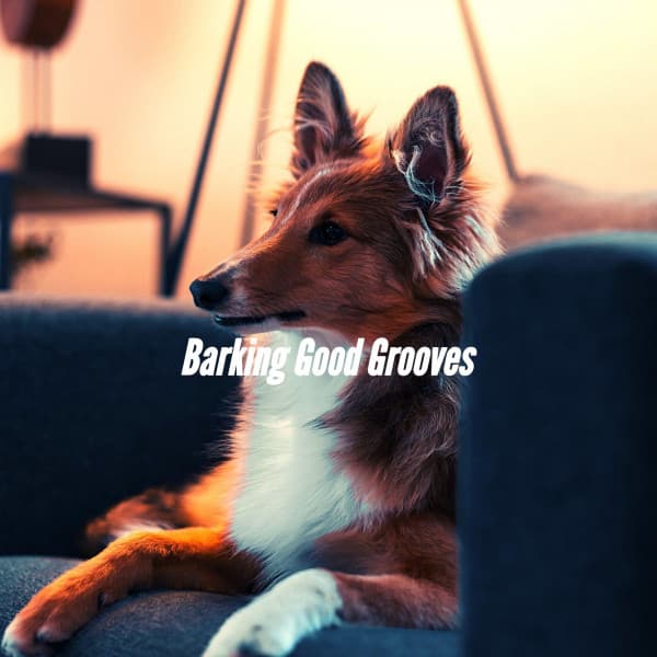 Barking Good Grooves - Musica Relajante para Perros Momentos