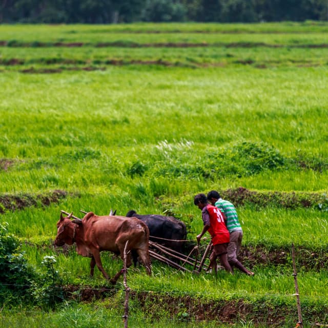 Workday Efficiency: Piano's Productive Efforts Amidst Rain's Melodies - Romantic Piano for Reading