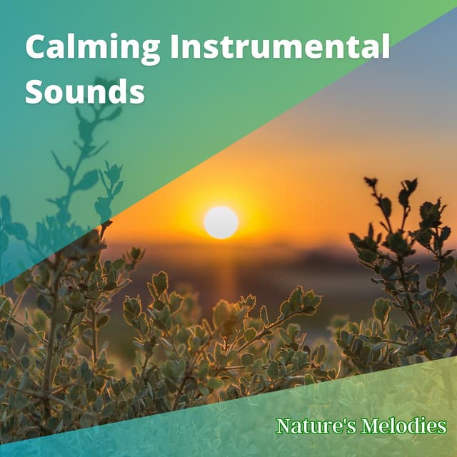 Calming Instrumental Sounds to Boost Attention and Productivity - Nature's Melodies