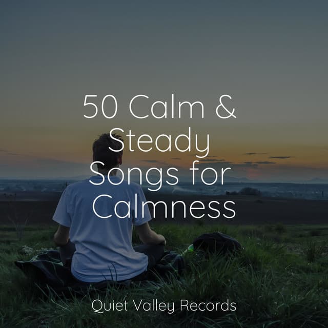 50 Calm & Steady Songs for Calmness - Saludo al Sol Sonido Relajante