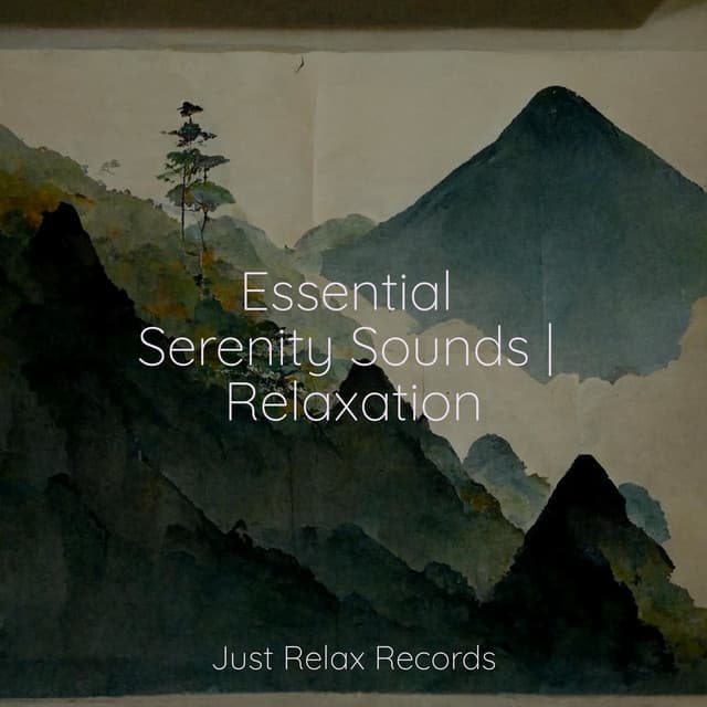 Essential Serenity Sounds | Relaxation - Calming Sounds