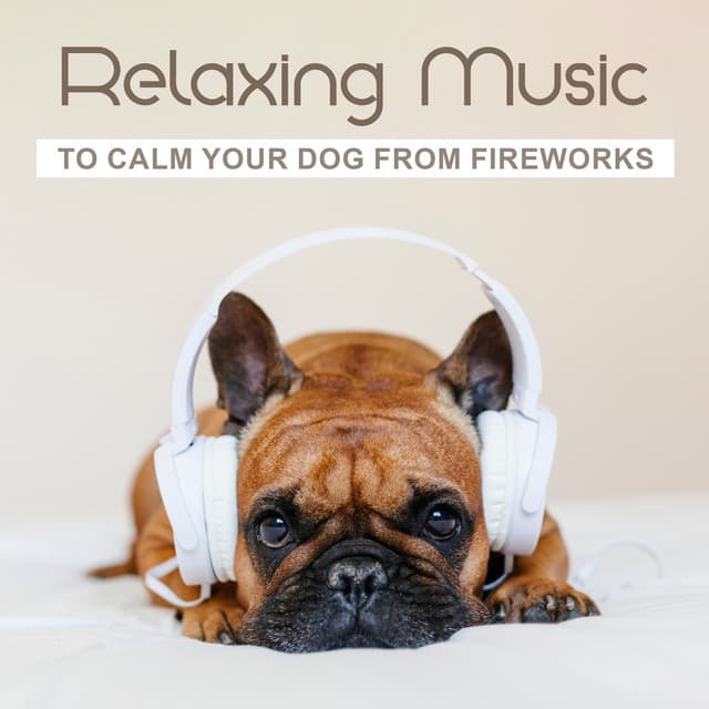 Relaxing Music to Calm Your Dog from Fireworks : Instant Anxiety & Stress Relief for Dogs - Pet Music Academy