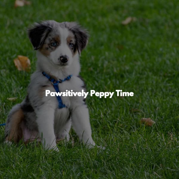 Pawsitively Peppy Time - Relaxing Coffee Shop