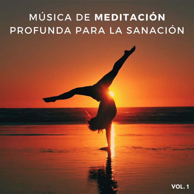 Música De Meditación Profunda Para La Sanación, Vol. 1 - Reiki Consorte de Curación