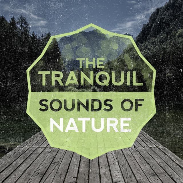The Tranquil Sounds of Nature - The Healing Sounds of Nature