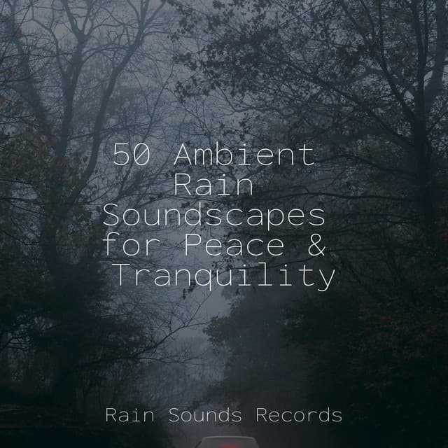 50 Ambient Rain Soundscapes for Peace & Tranquility - Music For Absolute Sleep