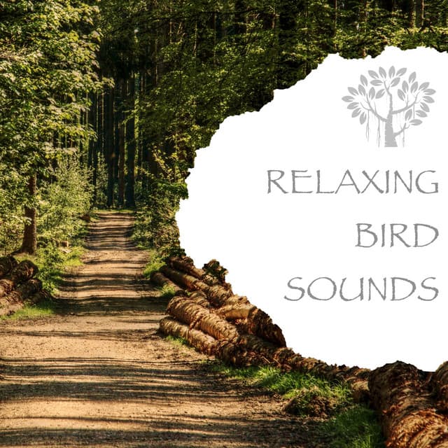 Relaxing Bird Sounds - Natural Spirit