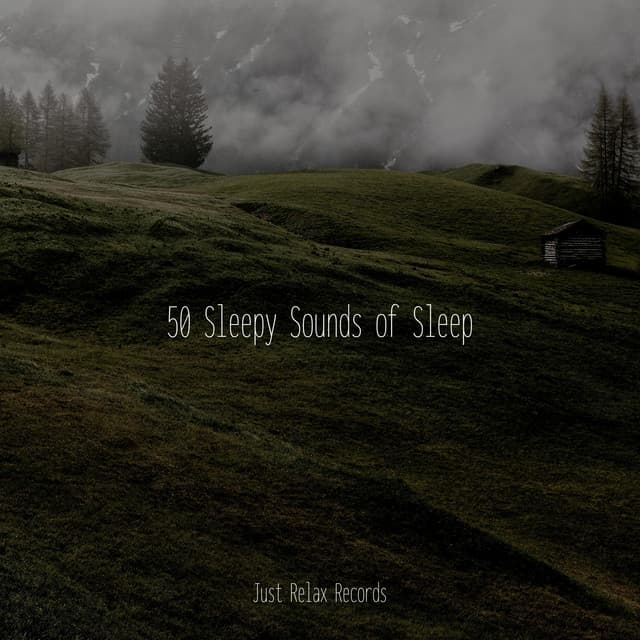 50 Sleepy Sounds of Sleep - Drowsy Cloud