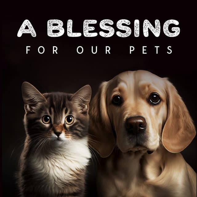 A Blessing For Our Pets - Pet Care Club