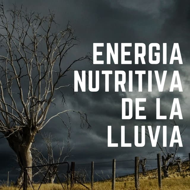 Energía Nutritiva De La Lluvia - Sonidos de la lluvia