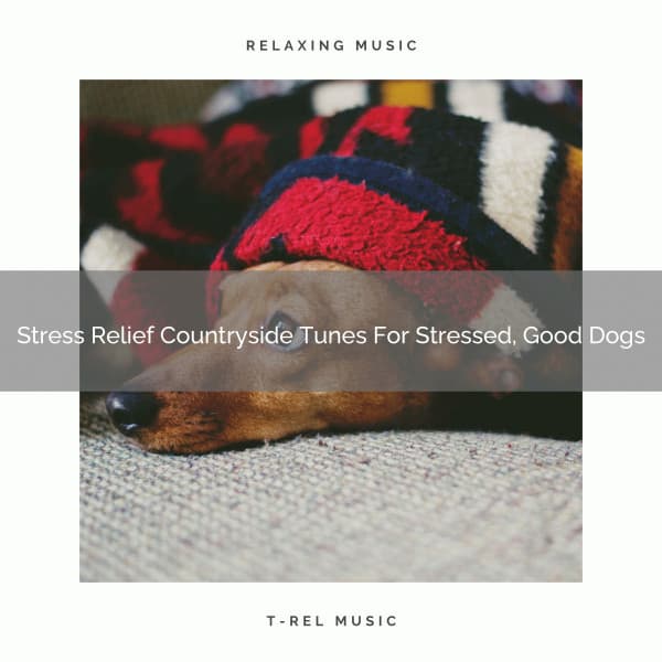 Stress Relief Countryside Tunes For Stressed, Good Dogs - Pets Total Relax