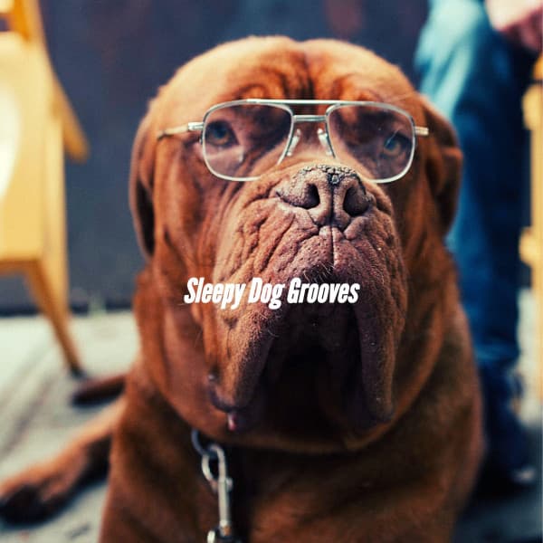 Sleepy Dog Grooves - Jazz for Dogs