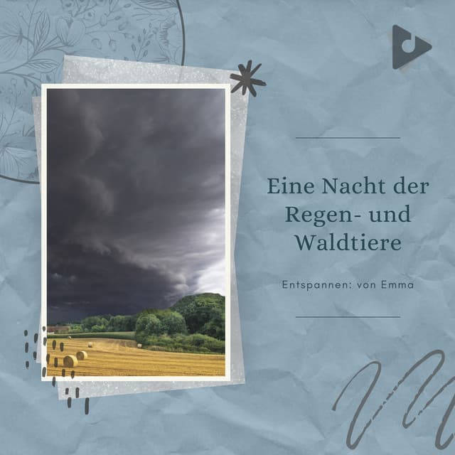 Eine Nacht der Regen- und Waldtiere - Entspannen: von Emma