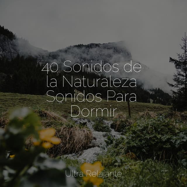 40 Sonidos de la Naturaleza Sonidos Para Dormir - Naturaleza Relajacion