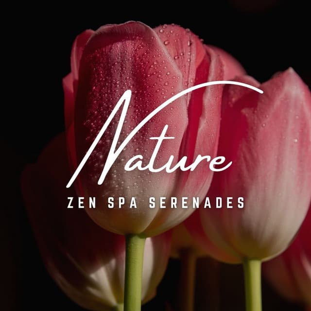 Zen Spa Serenades: Healing Harmonies - Serenity Spa Music Zone