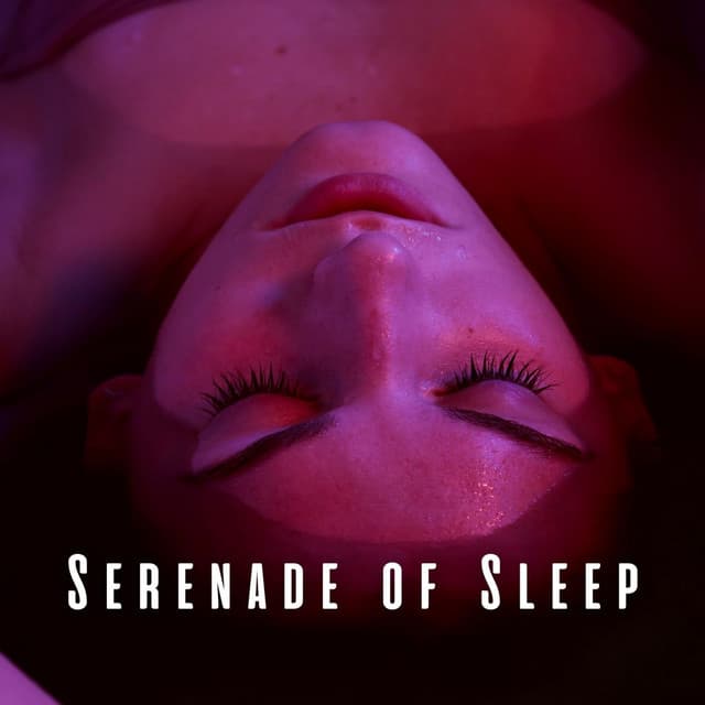 Serenade of Sleep: Meditation Music for Dreamers - Playlist for Early Morning Chill Out