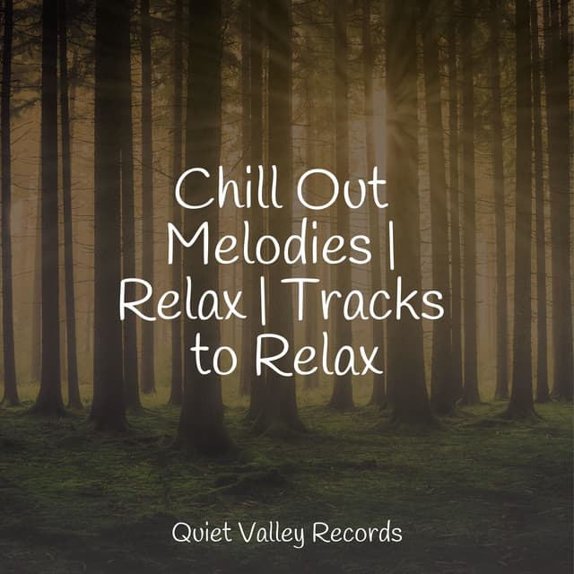 Chill Out Melodies | Relax | Tracks to Relax - Rain