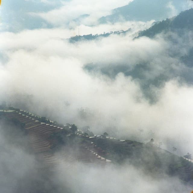 12 Hour: Songs For Newborns - White Noise for Babies