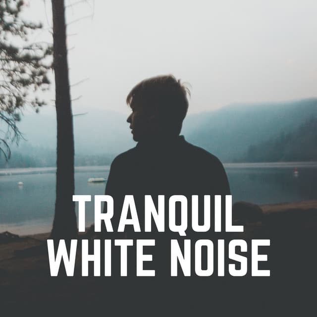 Tranquil White Noise - Ambient Nature White Noise